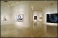 Susan Rothenberg: Paintings and Drawings [Photograph DMA_1496-18]