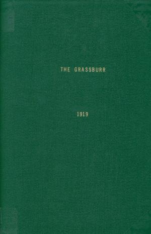 Primary view of object titled 'The Grassburr, Yearbook of John Tarleton Agricultural College, 1919'.