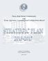 Primary view of Texas Real Estate Commission and Texas Appraiser Licensing and Certification Board: Strategic Plan 2013-2017