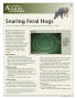 Primary view of Snaring Feral Hogs