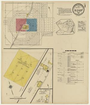Primary view of object titled 'Bishop 1922 Sheet 1'.