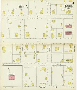 Primary view of object titled 'Winnsboro 1909 Sheet 4'.