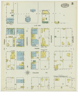 Primary view of object titled 'Coleman 1893 Sheet 3'.