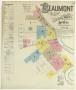 Map: Beaumont 1894 Sheet 1