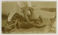 Photograph: [Photograph of Anchor Chain]
