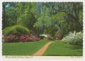 Postcard: [Postcard of Magnolia Gardens]
