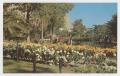 Primary view of [Postcard of Gardens at Alamo]