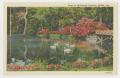 Postcard: [Postcard of Swans On Lake in Bellingrath Gardens]