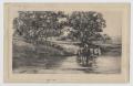 Postcard: [Postcard of Man Crossing River in Horse-Drawn Cart]