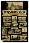 Postcard: [Postcard of the Sights in Washington D. C.]