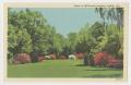 Postcard: [Postcard of Meadow at Bellingrath Gardens]