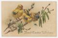 Postcard: [Postcard of Three Chicks With Best Easter Wishes]