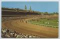 Primary view of [Postcard of Kentucky Derby]