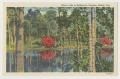 Postcard: [Postcard of Mirror Lake in Bellingrath Gardens]