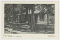 Thumbnail image of item number 1 in: '[Postcard of the Summer Cottage of H. L. Fitzhugh]'.