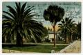 Postcard: [Postcard of a California Residence with Palm Trees]