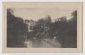 Primary view of [Postcard of a Castle Obscured by a Forest]