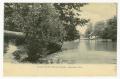 Postcard: [Postcard of the Burnett Woods in Cincinnati]