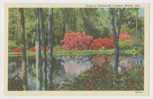 Primary view of object titled '[Postcard of Scene in Bellingrath Gardens]'.