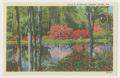 Postcard: [Postcard of Scene in Bellingrath Gardens]