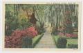 Postcard: [Postcard of Colorful Stone Path in Bellingrath Gardens]