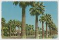 Postcard: [Postcard of Central Avenue in Phoenix]