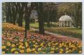 Thumbnail image of item number 1 in: '[Postcard of Greenbrier Spring House]'.