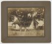 Photograph: [Photograph of Wise Home]