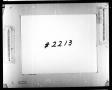 Thumbnail image of item number 2 in: 'Dallas County Probate Case 2213: Bartlett, L.J. (Deceased)'.