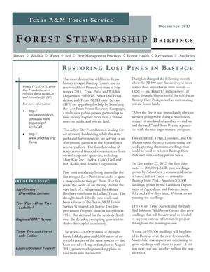 Primary view of object titled 'Forest Stewardship Briefings, December 2012'.