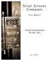 Primary view of Sunset Commission Staff Report: Texas Commission on the Arts