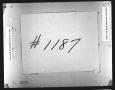 Thumbnail image of item number 2 in: 'Dallas County Probate Case 1187: Scotlard, Jennie (Deceased)'.