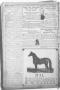 Thumbnail image of item number 4 in: 'The West Weekly News. (West, Tex.), Vol. 2, No. 26, Ed. 1 Friday, April 7, 1911'.