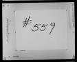 Thumbnail image of item number 2 in: 'Dallas County Probate Case 559: Royster, L.M. & J.W. (Minors)'.