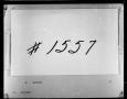 Thumbnail image of item number 2 in: 'Dallas County Probate Case 1557: Roe, James M. et al (Minors)'.