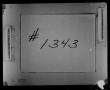Thumbnail image of item number 2 in: 'Dallas County Probate Case 1343: Rose, Flora Belle (Minor)'.