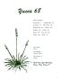 Thumbnail image of item number 3 in: 'The Yucca, Yearbook of North Texas State University, 1968'.