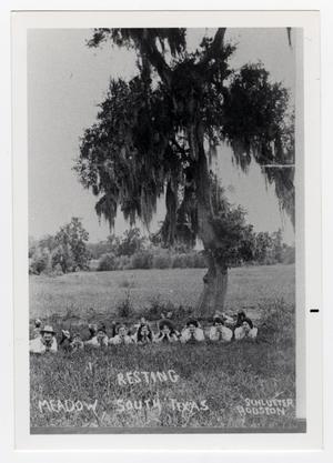Primary view of object titled '[Resting in Meadow in South Texas]'.