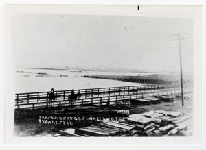 Primary view of object titled '[1913 Flood in Sugarland #2]'.