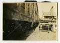 Primary view of [Box Cars by Loading Chute]