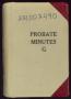 Thumbnail image of item number 1 in: 'Travis County Probate Records: Probate Minutes G'.