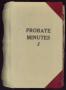 Book: Travis County Probate Records: Probate Minutes J