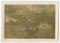 Photograph: [Photograph of Bodies in Landsberg Concentration Camp]