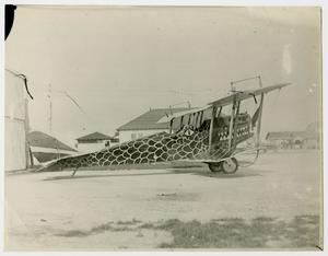Primary view of object titled '[Biplane Painted to Resemble a Dragon]'.