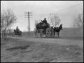 Photograph: [Mule-Drawn Wagons on a Dirt Road]