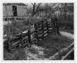 Photograph: [Wooden Fence and Wire Fence at Moore Park]