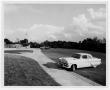 Photograph: [Cars Parked at McCree Park]