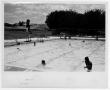 Photograph: [Swimmers at Fretz Park Pool]
