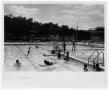 Photograph: [Swimming Pool at Fretz Park]