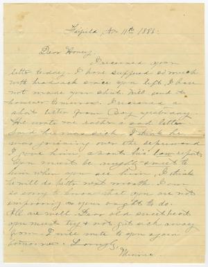 Primary view of object titled '[Letter from Minnie Bradley to L. D. Bradley - November 11, 1885]'.